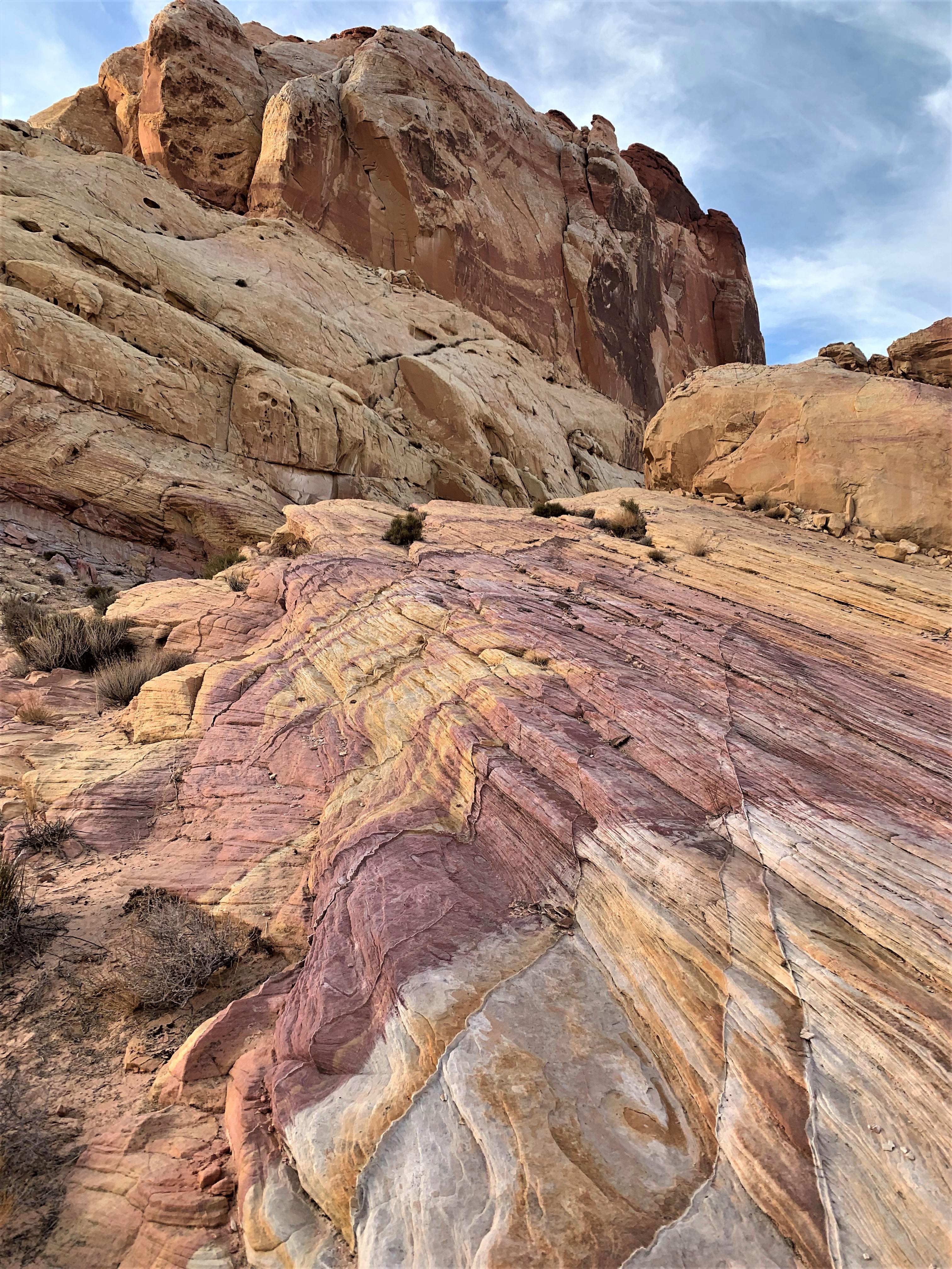 Nevada